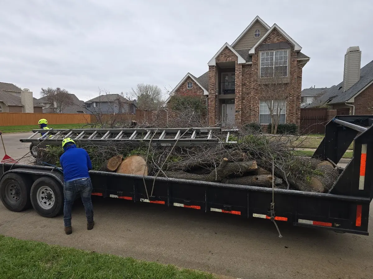 Expert Tree Fertilization with proper safety equipment in Semmes